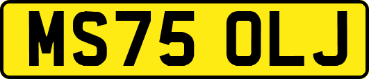 MS75OLJ
