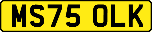 MS75OLK