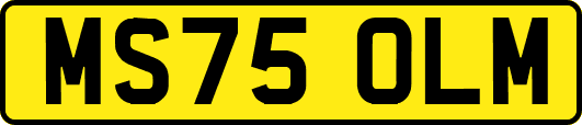 MS75OLM