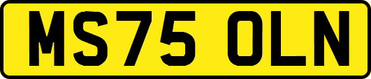 MS75OLN