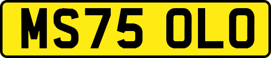 MS75OLO