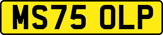 MS75OLP
