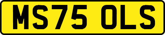 MS75OLS