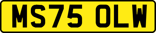 MS75OLW