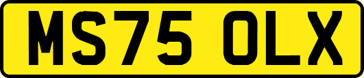 MS75OLX