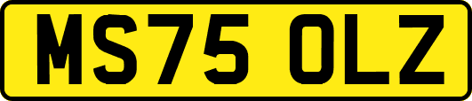 MS75OLZ