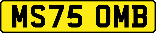 MS75OMB