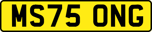 MS75ONG