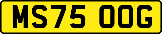 MS75OOG