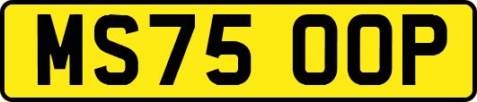 MS75OOP