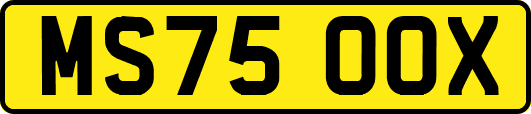 MS75OOX