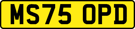 MS75OPD
