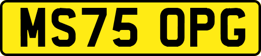 MS75OPG