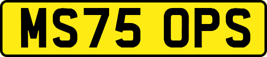 MS75OPS