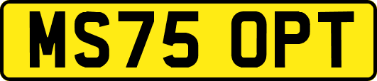 MS75OPT