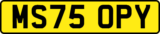 MS75OPY