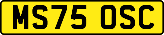 MS75OSC