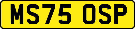 MS75OSP