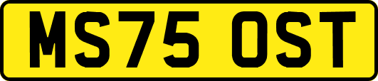 MS75OST