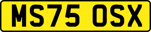 MS75OSX