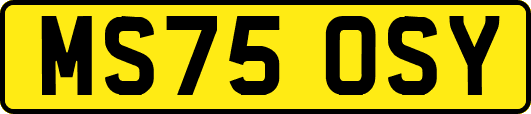 MS75OSY