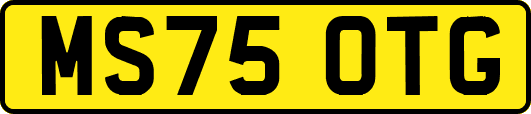 MS75OTG
