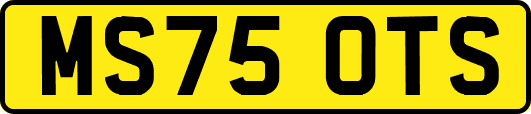 MS75OTS