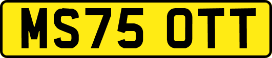 MS75OTT