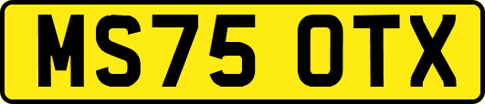 MS75OTX