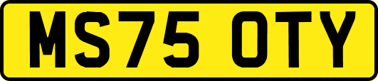 MS75OTY