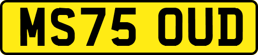 MS75OUD