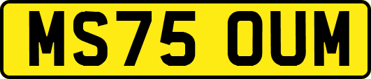 MS75OUM