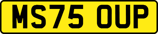 MS75OUP