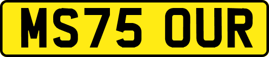 MS75OUR