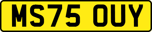 MS75OUY