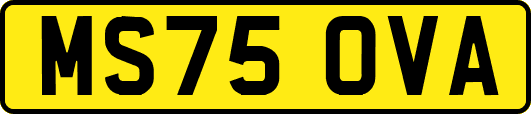 MS75OVA