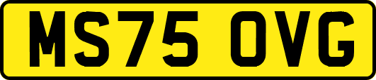 MS75OVG