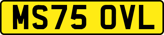 MS75OVL