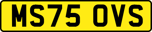 MS75OVS
