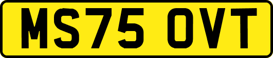 MS75OVT