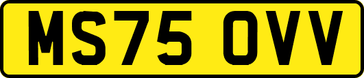 MS75OVV