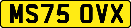 MS75OVX