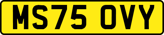 MS75OVY