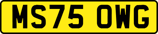 MS75OWG