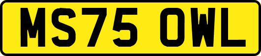 MS75OWL