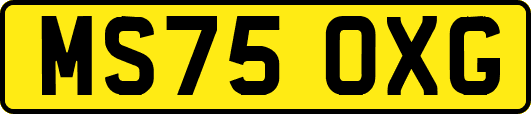 MS75OXG