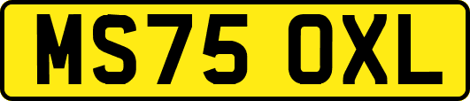 MS75OXL