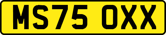 MS75OXX