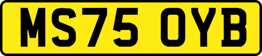 MS75OYB