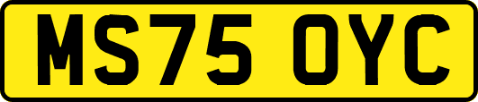 MS75OYC